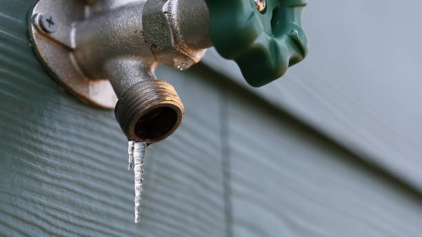 Best Septic Systems  in Lone Star, TX